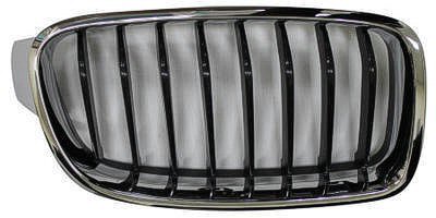 BM1200235 Grille Main